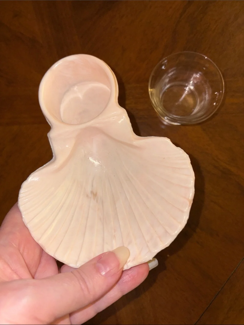 Vintage MCM KAROFF Sea-Servers Set of-6 Cocktail Pale Pink Shell Seafood Shrimp